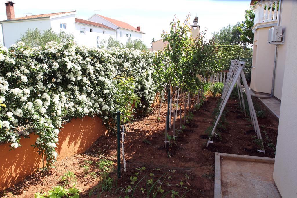 Apartments Kata Biograd Na Moru Exterior photo